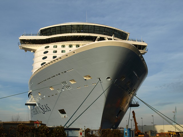 cruise-ship-665776_640