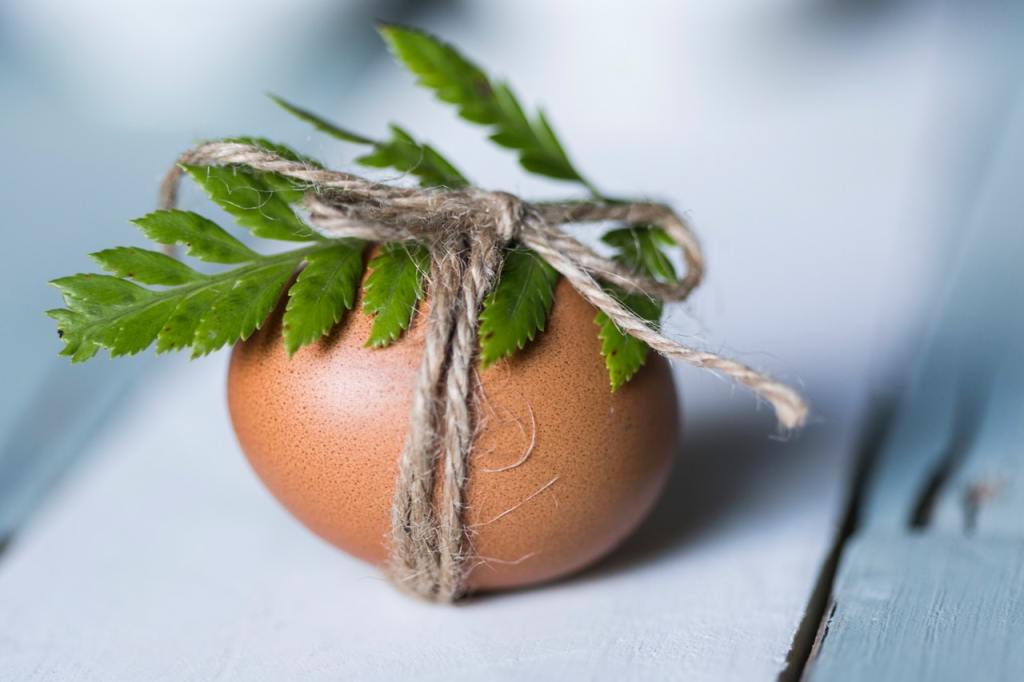 brown-egg-with-leaf-1212235